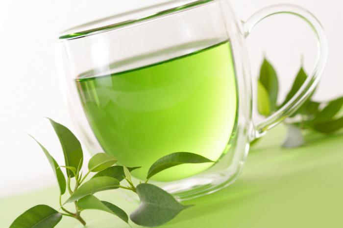 اثر چای سبز مکانیسم اثر چای سبز