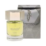 عطرجیبی مردانه برندینی مدل Y Day حجم 25 میلی لیتر