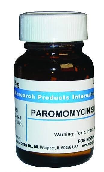 Alhavi Paromomycin Syrup شربت پارامومایسین الحاوی 125 میلی گرم/5میلی لیتر 60میلی لیتر | PAROMOMYCIN ALHAVI 125MG/5ML 60ML SYRUP - تصویر 1